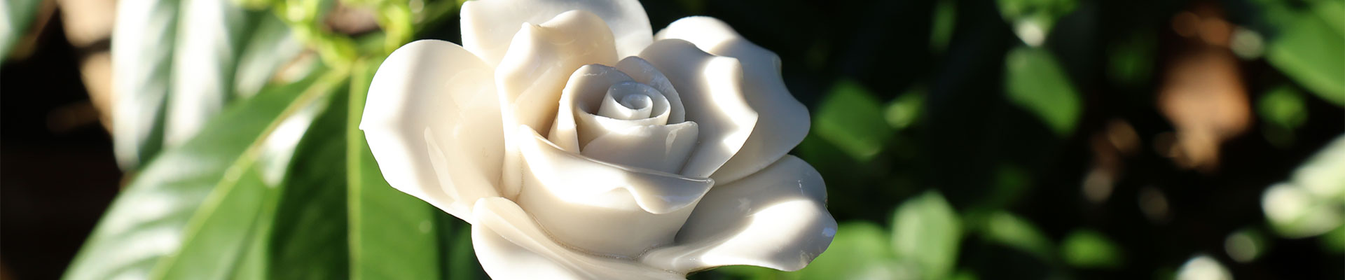 <h3><strong>Remembrance Roses</strong></h3>