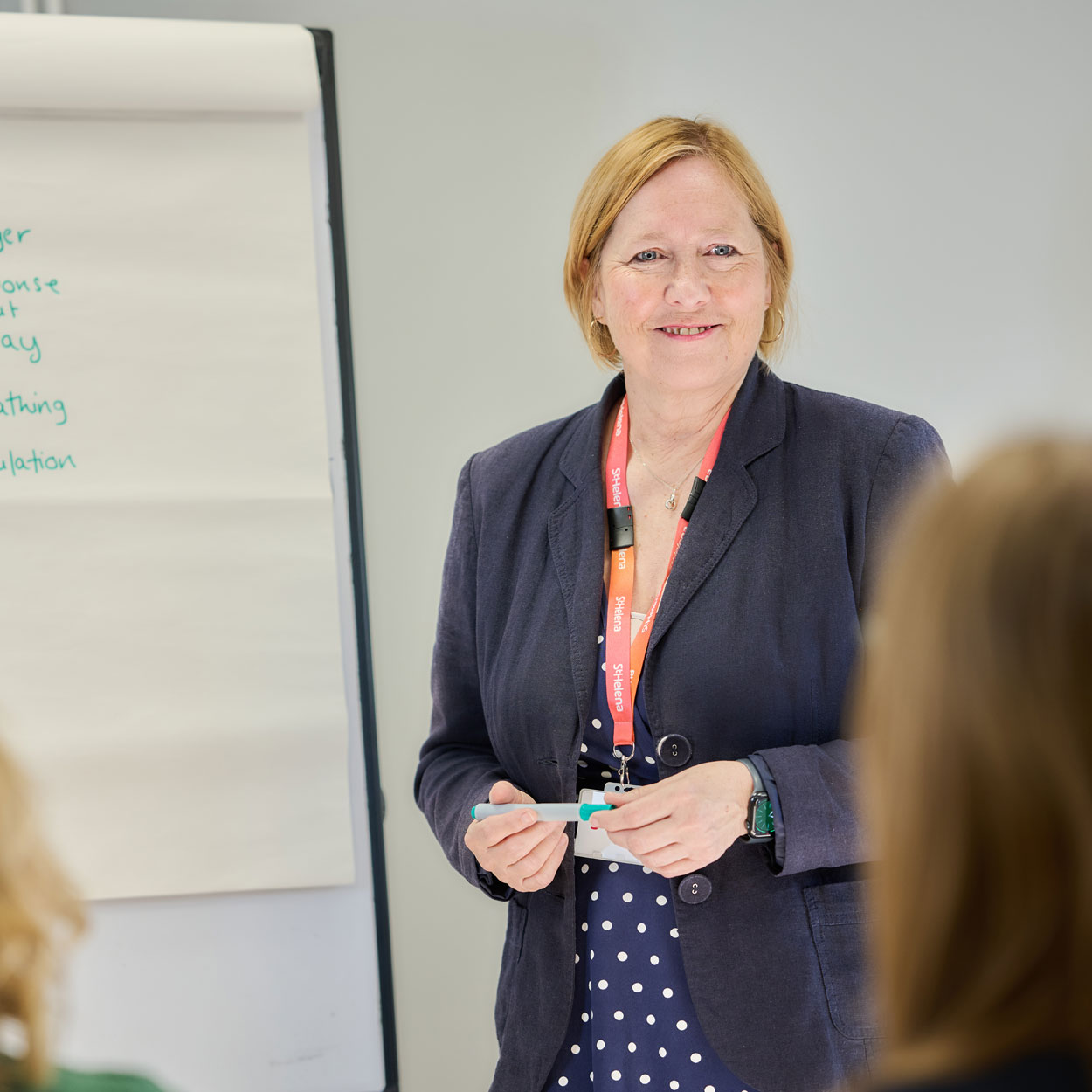 Educator in front of delegates at Hospice Education session